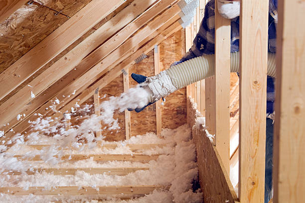 Professional Insulation Removal & Installation in Kingsford Heights, IN